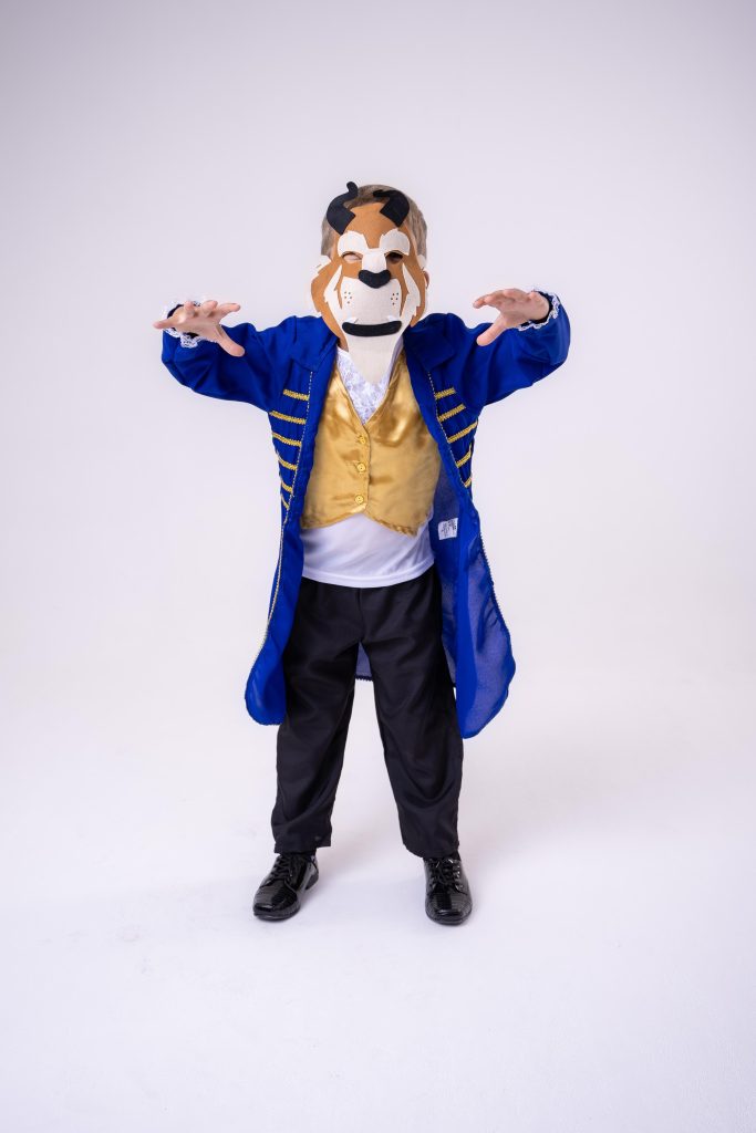 Fantasia Princesa Belli Principe Fera /A bela e a Fera